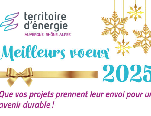 Meilleurs vœux 2025 !